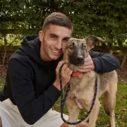 Ferran Torres, herói da Espanha na Copa, resgata animais abandonados