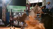 Festa do Peão de Jaborandi 2026 bate recorde de público