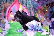 Festival de Parintins inspira exposição de artesanato no Rio de Janeiro