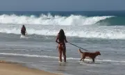 Fim de semana de sol tem 10 praias da Zona Sul do Rio impróprias para banho