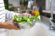 Folha de mostarda: por que incluir esse superalimento na dieta