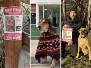 Frentiscão de Campinas some na Patagônia; família faz buscas