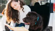 Férias: como preparar o pet para ficar longe dos tutores