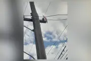 Férias escolares elevam risco de acidentes com pipas na rede elétrica no RJ