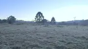 Frio intenso em SC: geada ampla e mínimas de -3°C nos planaltos