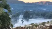 Frio persiste no Paraná com geada e mínima de -1,7°C