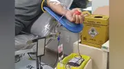 Fãs do BTS realizam campanha de doação de sangue em Santarém