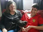 Galinha de apoio emocional ajuda adolescente autista em Indaiatuba