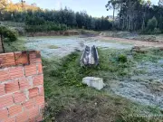 Geadas e frio intenso: cidades de SP registram temperaturas abaixo de 3°C