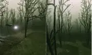 Geiseltalsee: floresta submersa na Alemanha vira destino de mergulho
