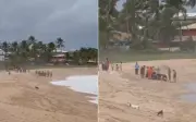 Gerente bancário morre ao salvar filho e sobrinho de afogamento na Bahia