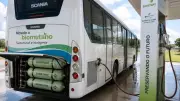 Goiânia aposta no biometano para renovar frota de ônibus