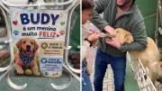 Golden Retriever 'ladrão de roupas' viraliza ao pegar menina de surpresa em SC
