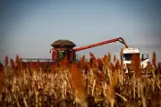 Governo cogita alívio de dívidas do agro com fundo garantidor de R$ 15 bi