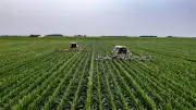 Governo monitora impactos do El Niño no agro e na inflação