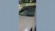 Granada em creche: polícia investiga se artefato foi usado para incriminar facção rival