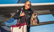Guaxinim de pelúcia de R$ 3,8 mil usado por Haaland esgota nos EUA