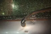 Homem atropela guarda municipal e é preso em Limeira (SP)