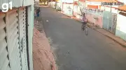 Homem confessa ter matado gato a pauladas em Cáceres; câmeras flagraram