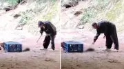 Homem de 60 anos é preso suspeito de matar gatos a pauladas em granja no ES