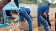 Homem de 80 anos é resgatado de carro submerso em Ciríaco, RS