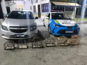 Homem detido com seis pássaros silvestres na RJ-145 em Piraí