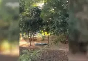 Homem em situação de rua é espancado até a morte em Araguaína