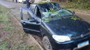 Homem morre após árvore cair sobre carro em Cesário Lange; rajadas chegam a 124,9 km/h