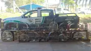 Homem multado em R$ 20,5 mil por manter 41 aves silvestres ilegais em Votuporanga