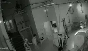 Homem preso ao invadir fábrica de massa de pastéis em Campinas