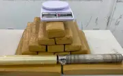 Homem preso com 15 kg de maconha em Nossa Senhora do Socorro