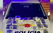 Homem preso com 30 kg de maconha na Rodovia Castello Branco em Iaras