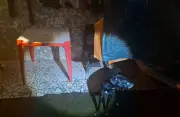 Homem preso em Maceió por amarrar focinho de cachorro com fita isolante