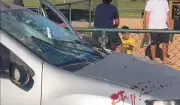 Homem é preso por agressão e racismo após briga por pipas em Paulínia