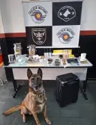 Homem é preso por tráfico de drogas em apartamento no Cambuí, Campinas