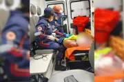 Homem tem rosto dilacerado por Border collie ao acordar com latidos em MS