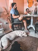 Hospedagem familiar para cães cresce com foco em bem-estar emocional