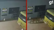 IA criou onça-pintada falsa e trabalhadores faltaram por medo em MT