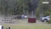 Idoso é atacado por bisão no Parque Yellowstone e passa por cirurgia