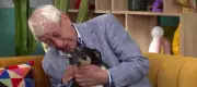 Idoso comove ao buscar nova família para cachorro na Espanha