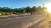 Idoso de 73 anos é arremessado de caçamba após colisão em Santarém