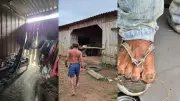 Idoso resgatado em condições análogas à escravidão no Pará após 8 anos