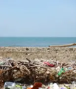 Ilha desabitada no Caribe colombiano acumula 830 resíduos plásticos