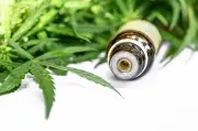 Importação de cannabis medicinal bate recorde no Brasil em maio