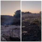 Incêndio atinge plantação de milho em Montes Claros; bombeiros usam 9 mil litros de água