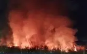 Incêndio de grandes proporções atinge vegetação no Setor Goiânia 2