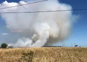 Incêndio em mata causa cortina de fumaça e fecha RJ-158 em Campos