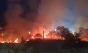 Incêndio em terreno baldio no Parque Rosário mobiliza bombeiros em Campos