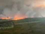 Incêndio florestal na França avança para 15 km de Bordeaux e força evacuação de 220 mil