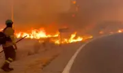 Incêndio na Andaluzia: 12 mortos e 1.400 evacuados